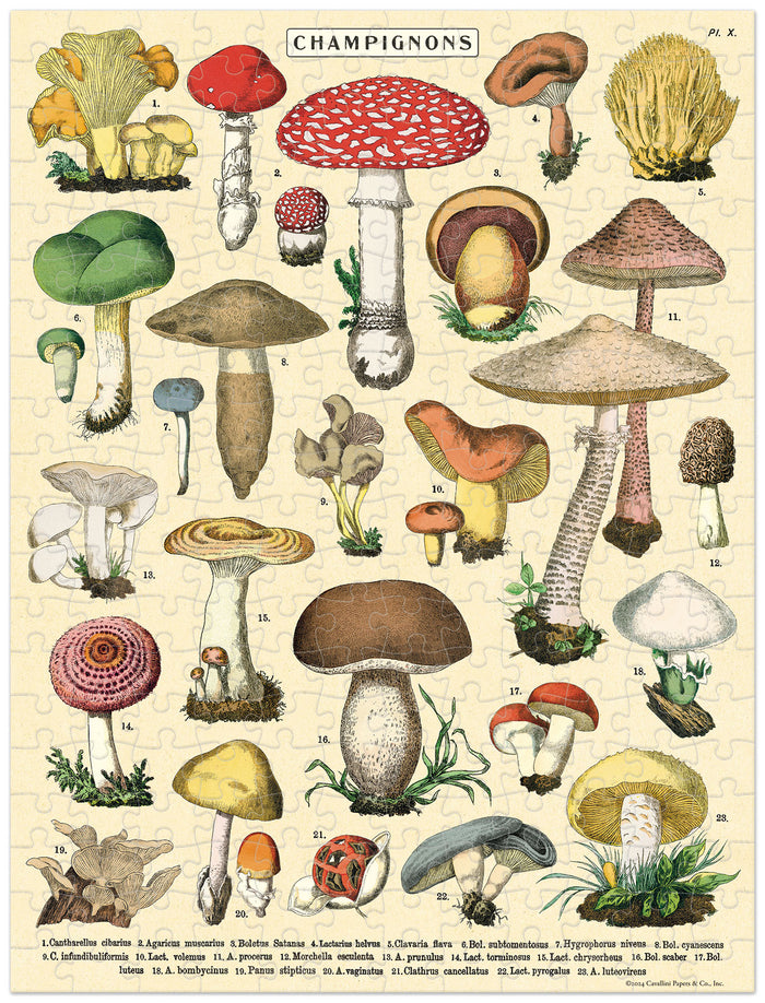 Cavallini & Co. Mushrooms 240 Piece Mini Puzzle image showing completed puzzle