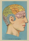 Cavallini & Co. Phrenology Decorative Paper