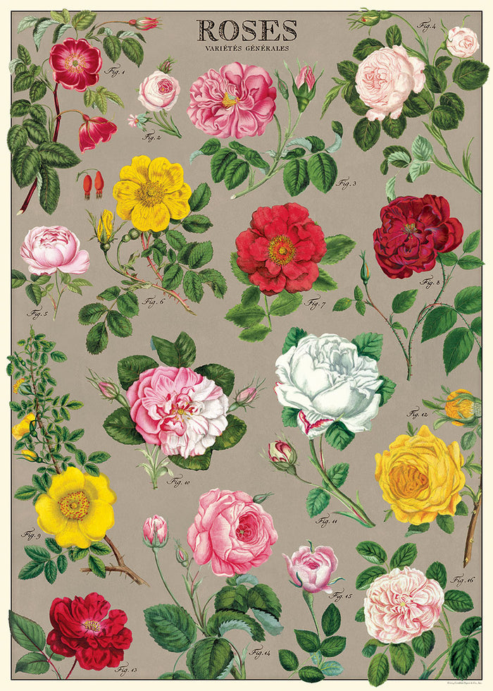 Cavallini & Co. Roses Collage Decorative Paper
