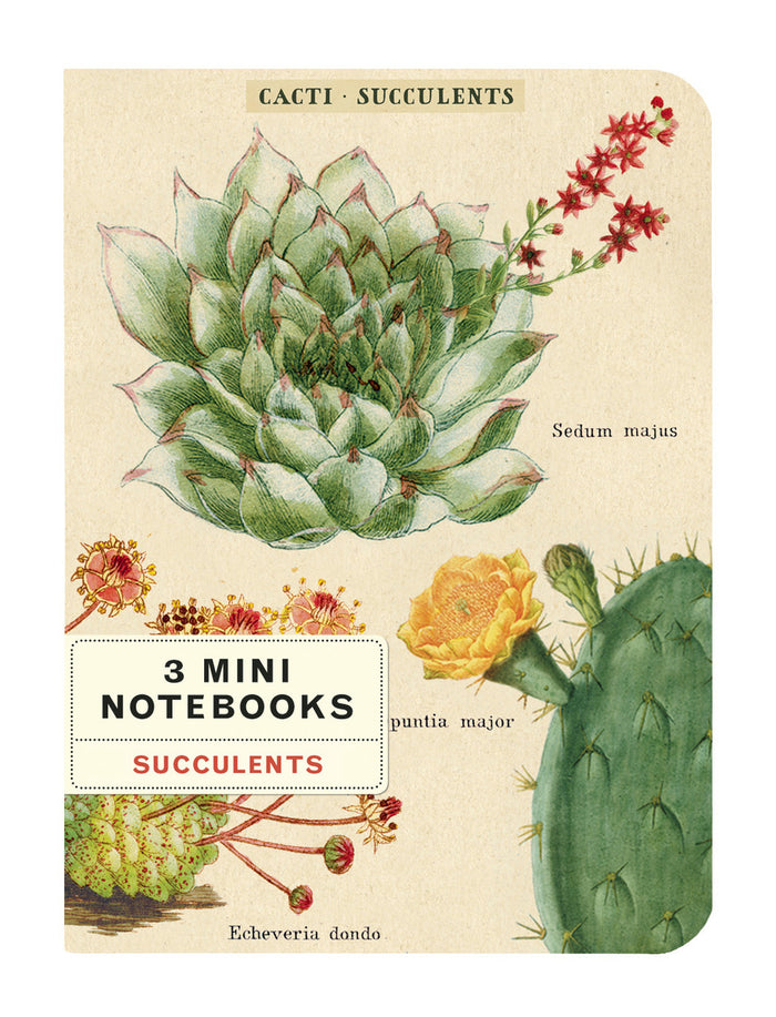 Three different sets of images adorn the covers.