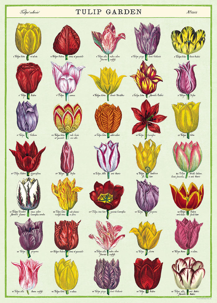 Cavallini & Co. Tulip Garden Decorative Paper
