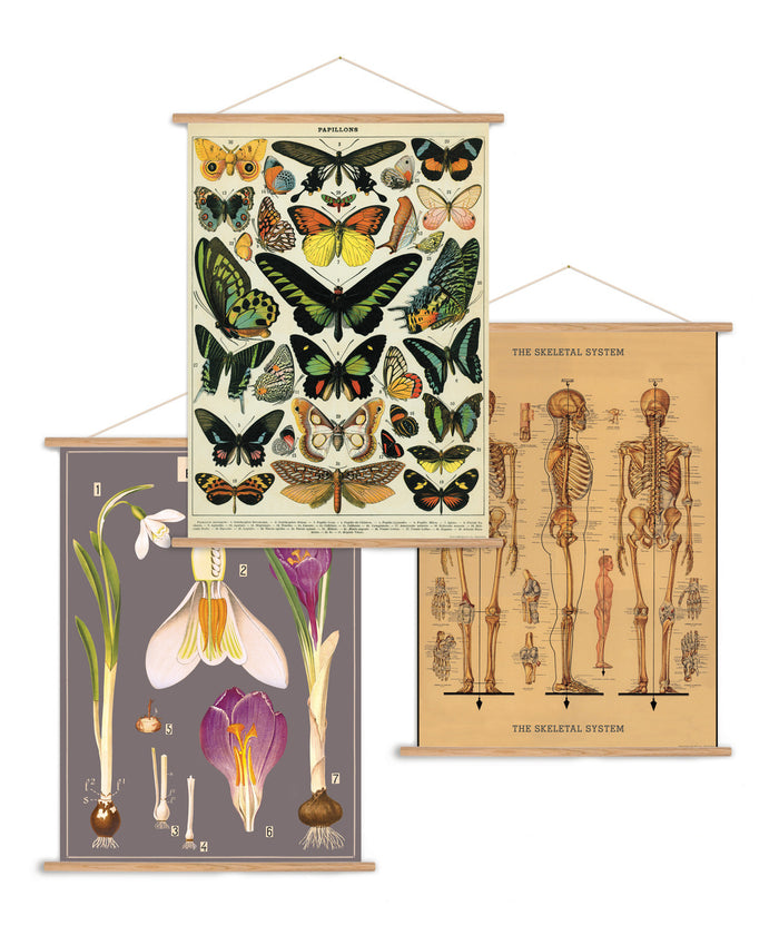Cavallini & Co. Vertical Vintage Poster Kit allows you to hang any vertical Cavallini wrap as a wall decoration.
