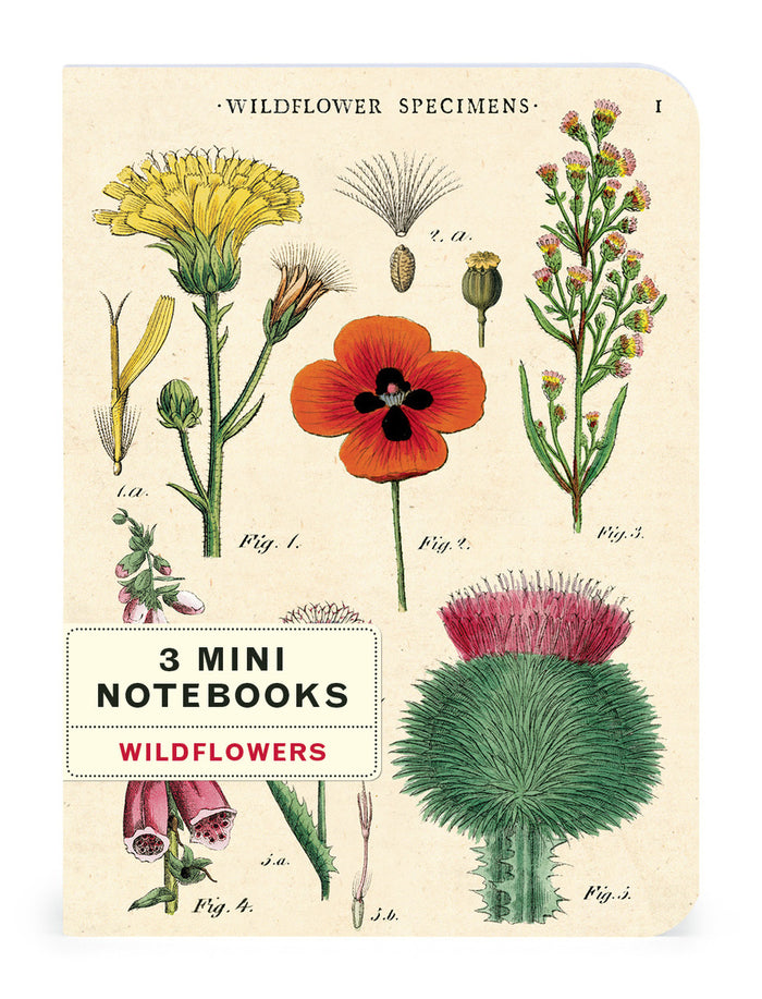 Each of the three Mini Notebooks features 96 pages of either lined, blank or graph paper.