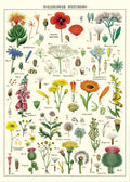 Cavallini & Co. Wildflowers Decorative Paper