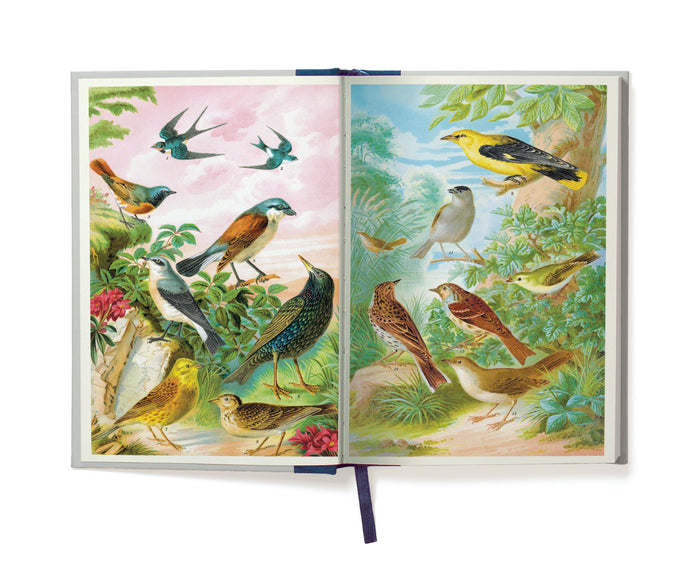 Cavallini & Co. Bird Window Journal- - Open book with colorful illustrations of birds on each page inside the front cover