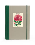 Cavallini & Co. Botany Window Journal- a notebook with a floral designs and 'Botany' text on a beige cover