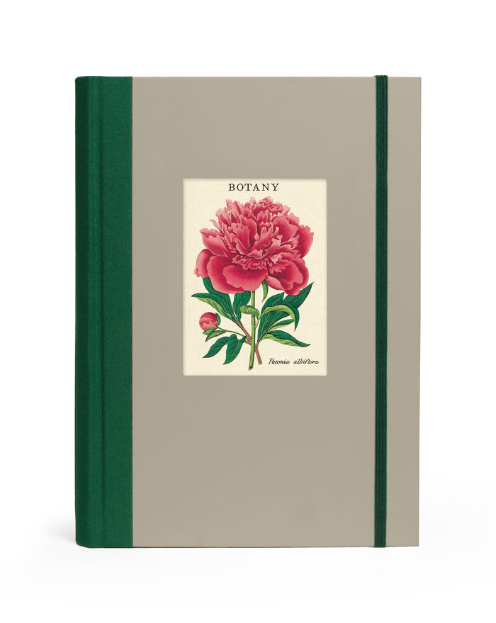 Cavallini & Co. Botany Window Journal- a notebook with a floral designs and 'Botany' text on a beige cover