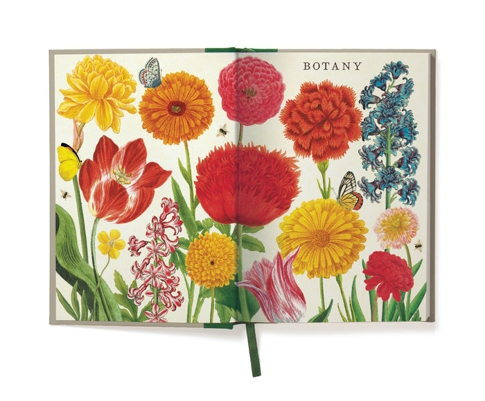 Floral illustration from inside notebook cover with 'Botany' text