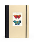 Cavallini & Co. Butterflies Window Journal- Notebook with butterfly illustration on a beige cover