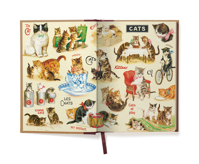 Cavallini & Co. Window Journal- Cat- Open book with illustrations of cats on each page inside the front cover