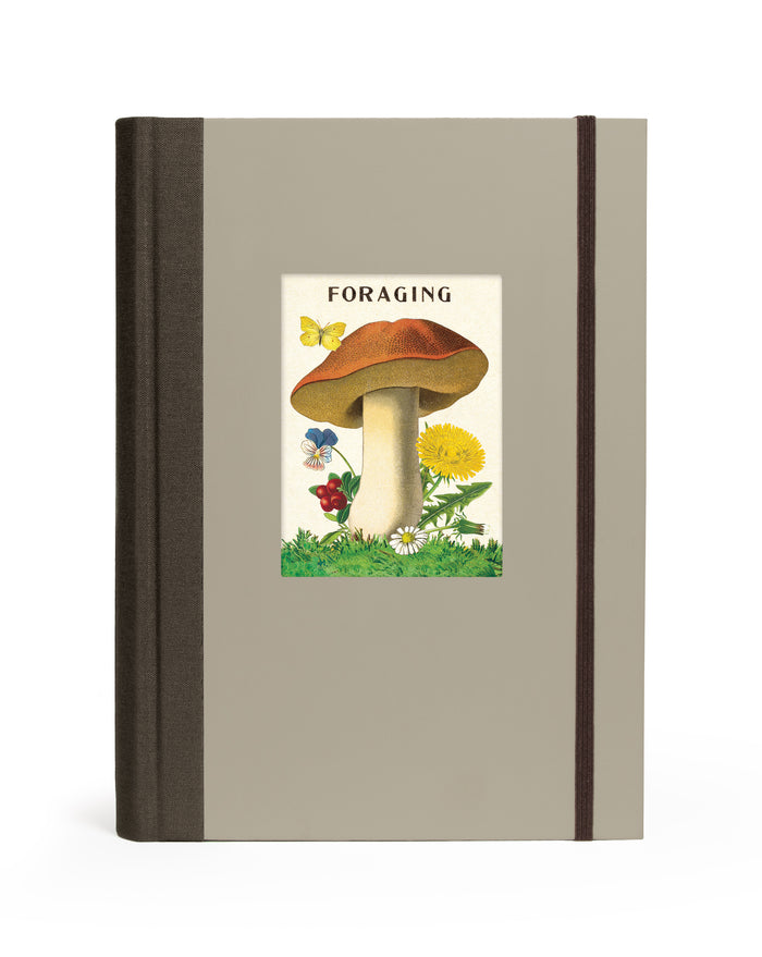 Cavallini & Co. Forage Window Journal- Book cover with a mushroom illustration and 'Foraging' text on a beige background