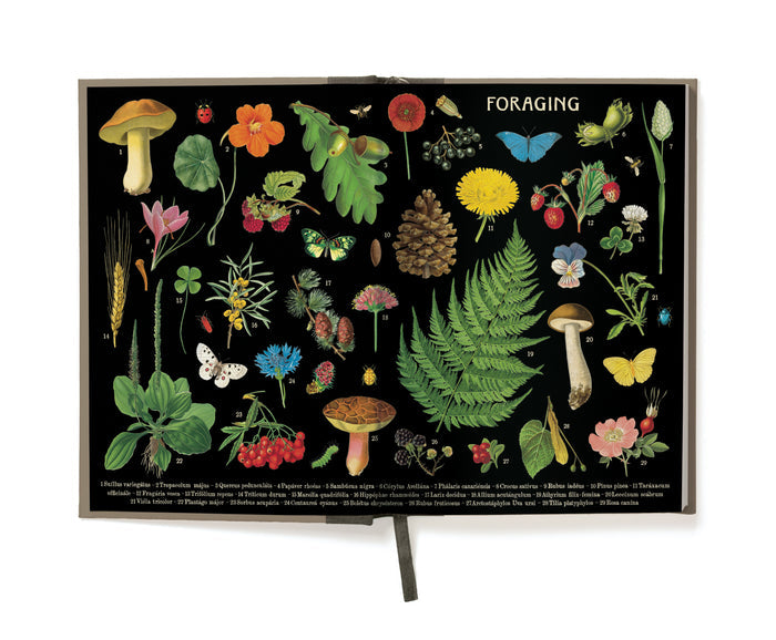 Cavallini & Co. Forage Window Journal-  illustrations of plants and fungi on a black background inside front cover