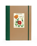 Cavallini & Co. Window Journal- Wildflowers- Notebook with a cover featuring illustrations of wildflowers on a beige background