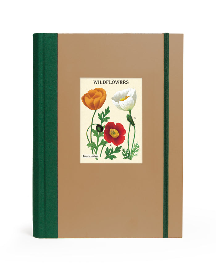 Cavallini & Co. Window Journal- Wildflowers- Notebook with a cover featuring illustrations of wildflowers on a beige background