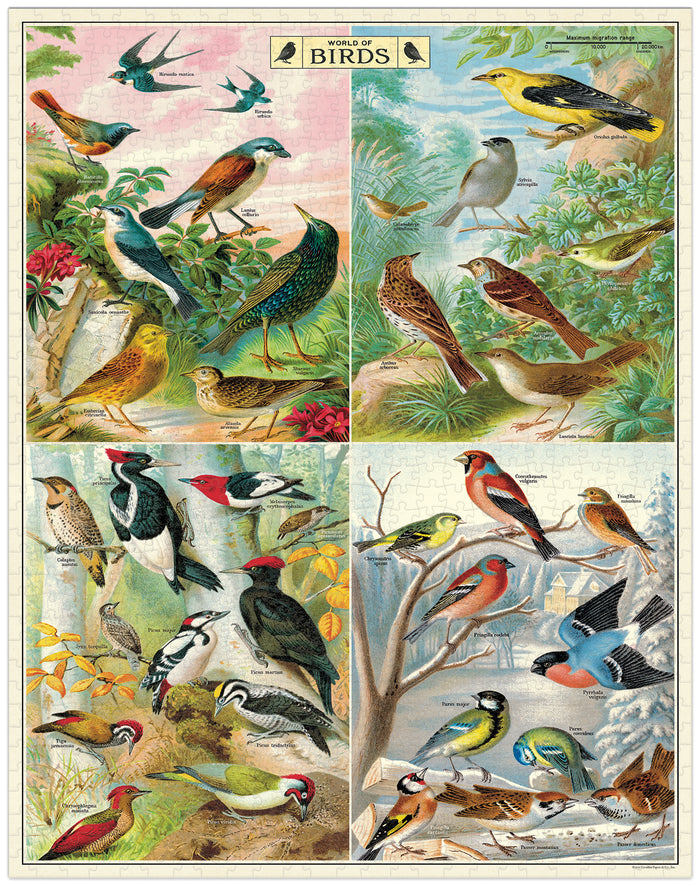Cavallini & Co. World of Birds 1000 Piece Puzzle- finished puzzle images showing Illustrations of various birds in a collage format
