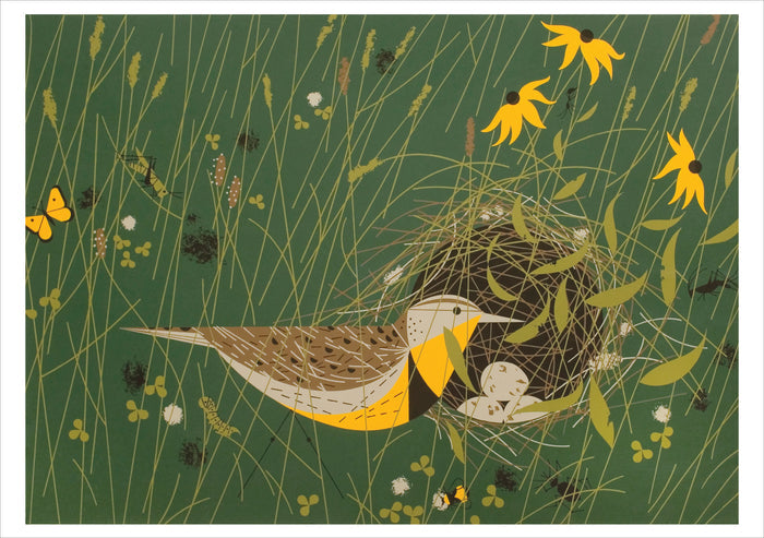 Charley Harper: Nesting Instinct Boxed Notecard Assortment