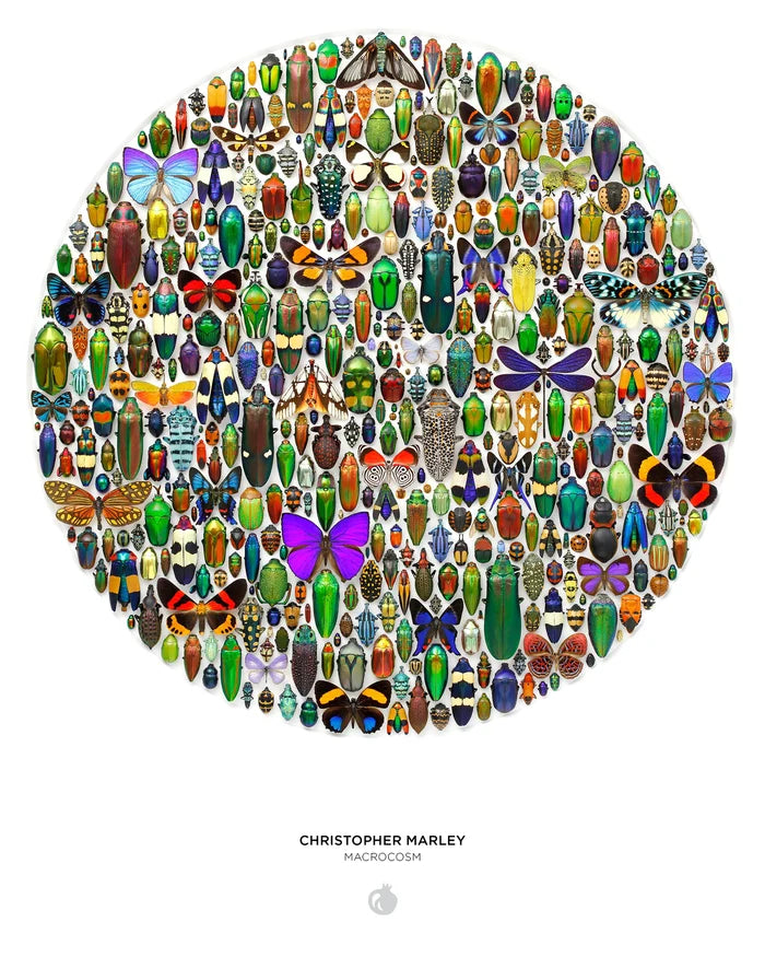 Christopher Marley Macrocosm 500 Piece Circular Puzzle