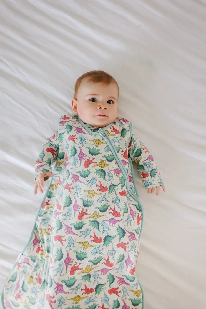 Copper Pearl| Dinosaurs of Jurassic Park Sleep Bag| 0-6mo