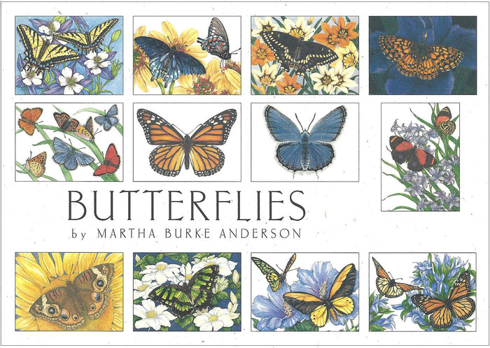 Crane Creek Graphics Butterflies notecard folio features colorful and bright butterflies. Inside you will find swallowtails, monarchs, buckeyes, and many more.