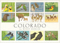 Crane Creek Graphics Colorado Notecard Folio- set of 12 cards and envelopes