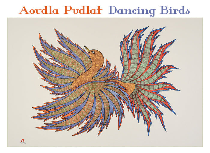 Pomegranate Dancing Birds Boxed Notecards by Aoudla Pudlat