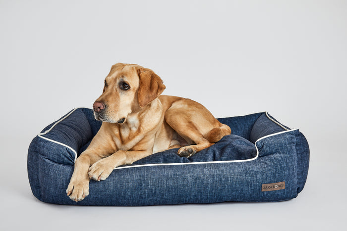 Denim Lounge Bed