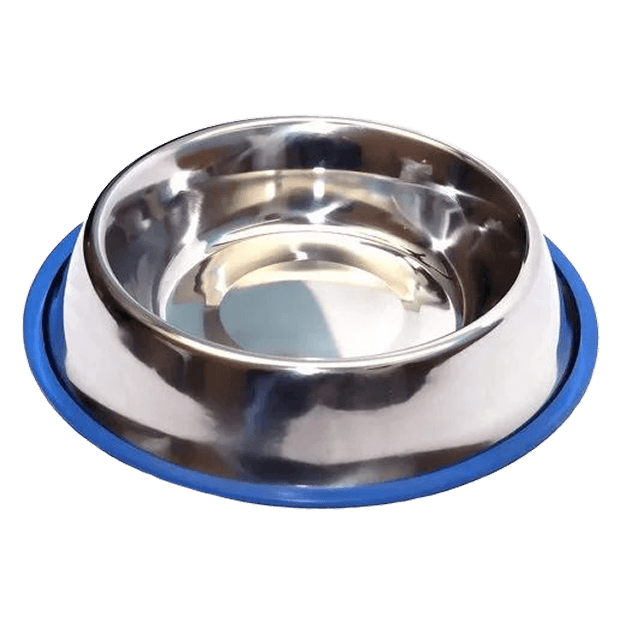 Dog Feeding Bowl With Blue Rubber Base