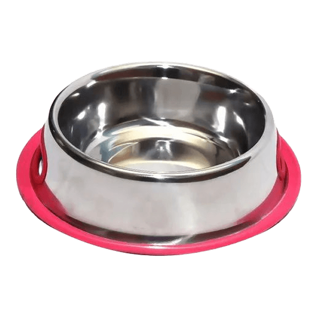 Dog Feeding Bowl With Blue Rubber Base