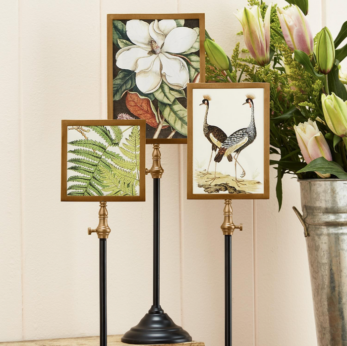 Double-Sided Photo Frame