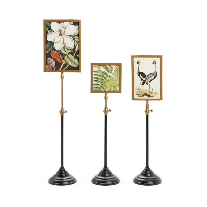 Double-Sided Photo Frame