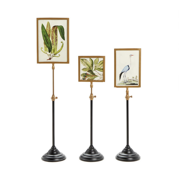 Double-Sided Photo Frame