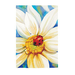 Evergreen | House Flag Morning Daisies