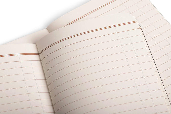 Field Notes Lucky Edition 3-Pack-Open notebook with lined, ledger pages on a white background