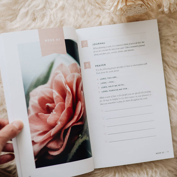 Fix Your Focus, A 52-Week Guide To Help You Put God First