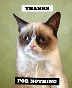 Grumpy Cat Notecards