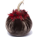Hot Skwash 4 in Velvet Pumpkin with Feathers