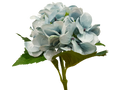 Light Blue Hydrandea Stem