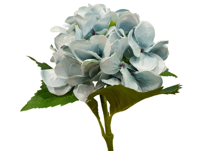 Light Blue Hydrandea Stem