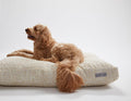Lolly White Rectangular Dog Pillow Bed