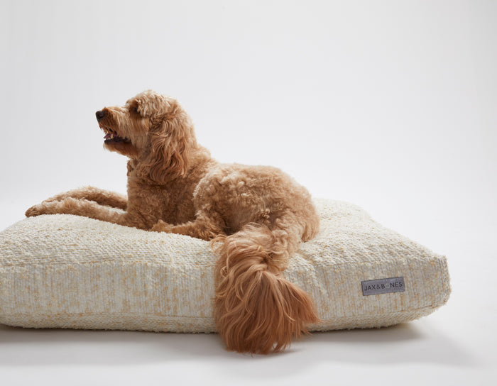 Lolly White Rectangular Dog Pillow Bed