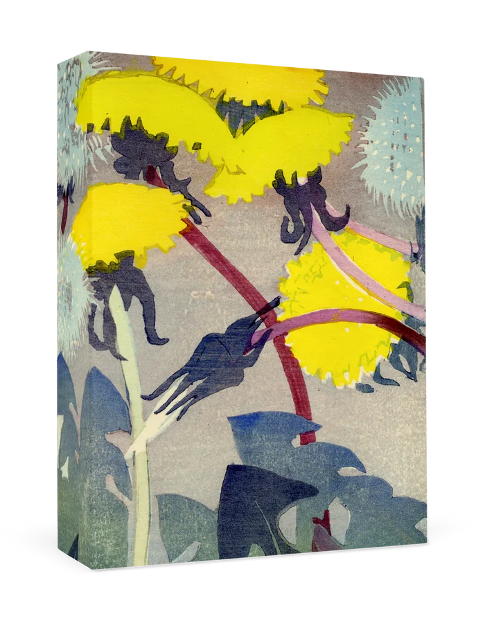 Mabel Royds: Dandelions Small Boxed Cards