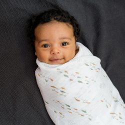 Mary Meyer | Lulujo Cotton Swaddles 2Pk