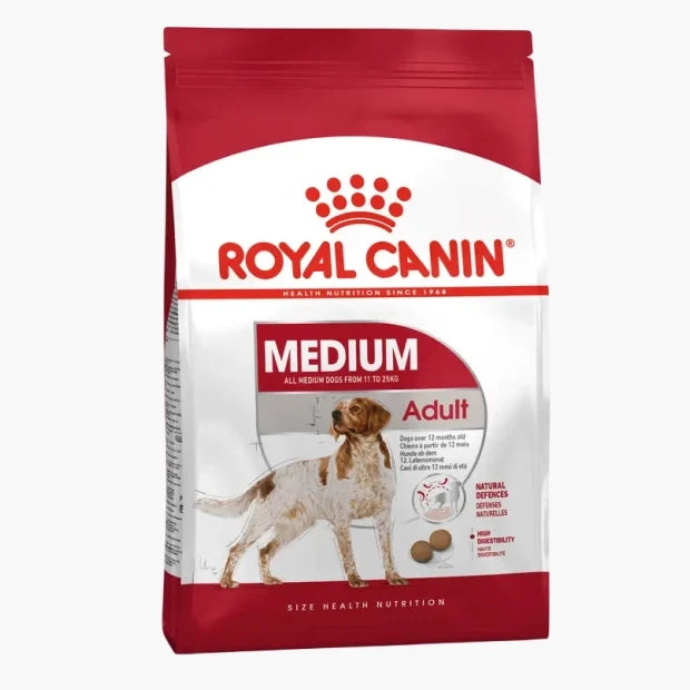 Medium Adult