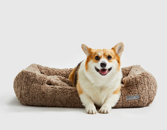Mocha Cloud Lounge Bed