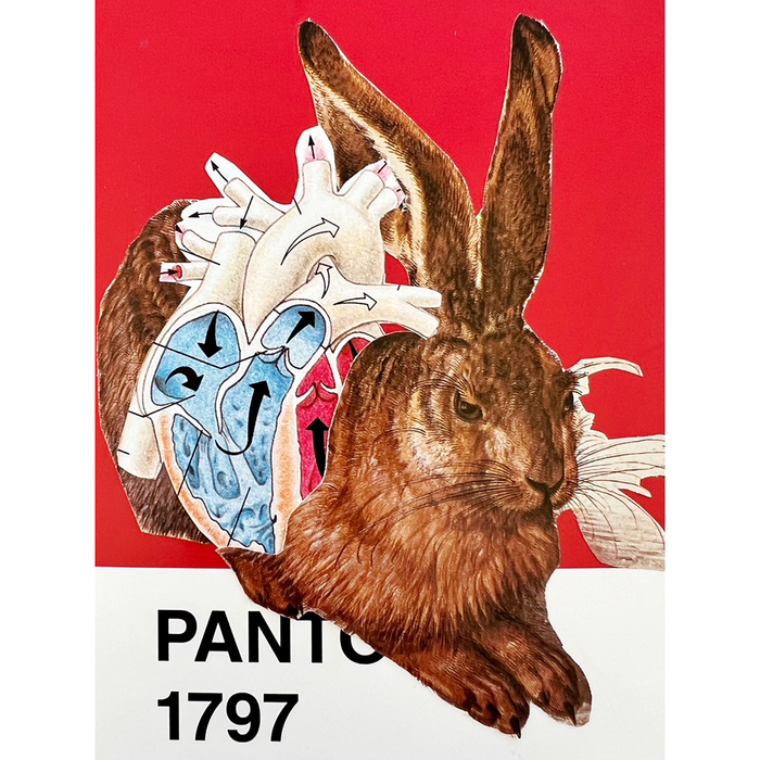 A surreal collage-style artwork showing a brown rabbit in front of a dissected anatomical heart on a red background, with the text 'PANT 1797' at the bottom.