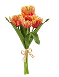 Parrott Tulip Bundle Assorted
