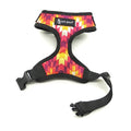Pet Glam Blaze Vest Fit Cat Harness with Leash Set | Adjustable Escape Proof Harness for Cats & Kittens