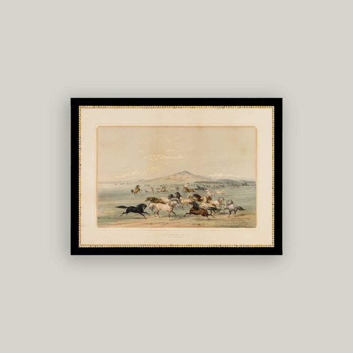 Petal Lane | Framed Antique Art, Assorted Styles & Sizes