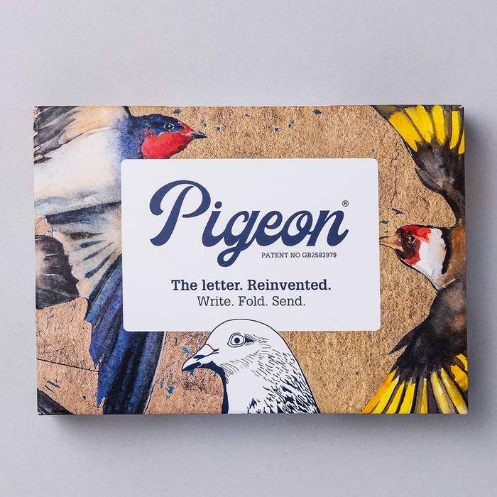 Pigeon letter writing kit packaging with illustrations of birds in a variety of colors on a brown background.
