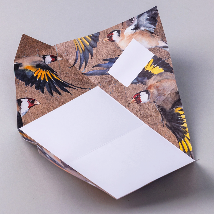 Colorful origami folded letter shown open with goldfinche themed design on a light gray background